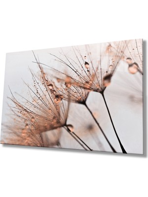 Miray Life Kahverengi Karahindiba  Cam Tablo