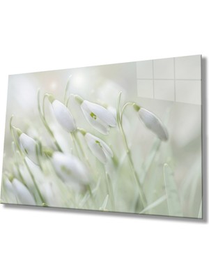 Miray Life Kardelen Çiçeği Cam Tablo   Snowdrop Flower