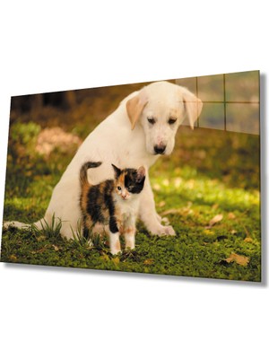 Miray Life Kedi Köpek Cam Tablo