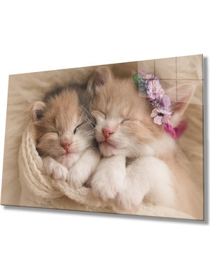 Miray Life Kediler Cam Tablo   Cats Table