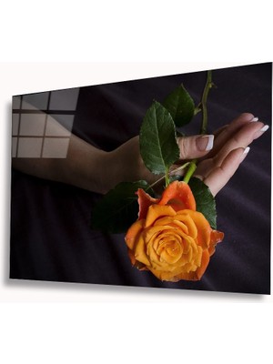 Miray Life Gül Cam Tablo