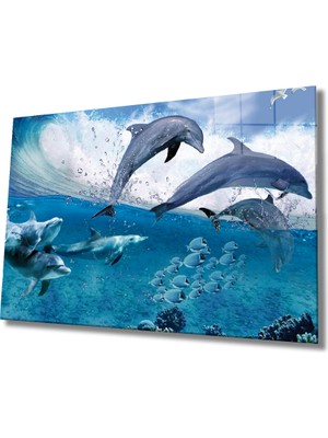 Miray Life Yunus Balıkları Cam Tablo Dolphins