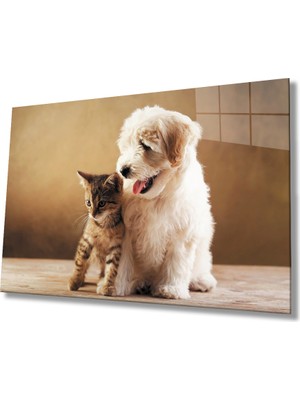 Miray Life Kedi ve Köpek Cam Tablo
