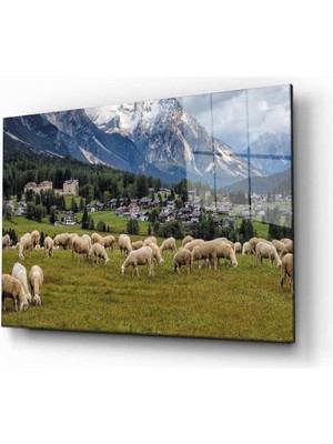 Miray Life Doğa Tablo