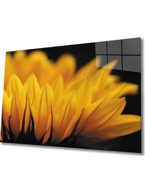 Miray Life Ay Çiçeği Günebakan  Cam Tablo