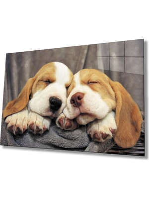 Miray Life Uyuyan Köpekler Cam Tablo
