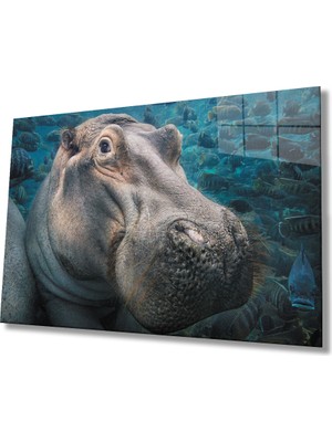 Miray Life Su Aygırı  Sualtı Cam Tablo