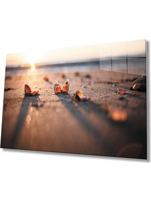 Miray Life Sahilde Deniz Kabukları Gün Batımı Cam Tablo