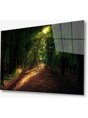 Miray Life Doğa Cam Tablo