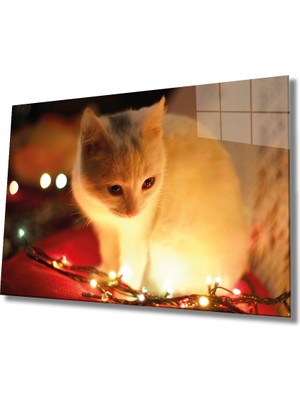 Miray Life Beyaz Kedi ve Sarı Işık Cam Tablo Yellow Cat And Lights