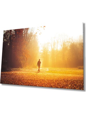 Miray Life Gün Batımında Ağaçlar Arasında Yürüyen Adam