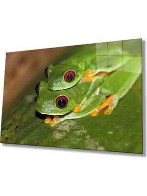 Miray Life Yeşil Kurbağalar Cam Tablo