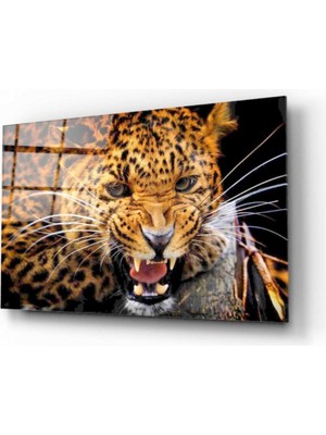 Miray Life Leopar Cam Tablo