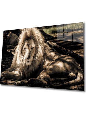 Miray Life Aslan Cam Tablo