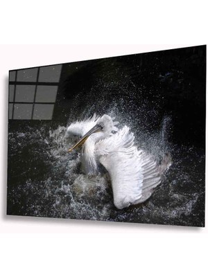 Miray Life Pelikan Cam Tablo