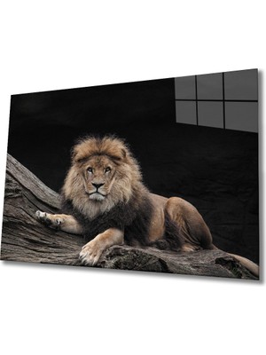 Miray Life Aslan Cam Tablo