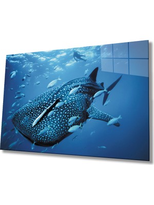 Miray Life Balıklar Sualtı Cam Tablo