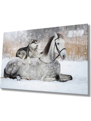 Miray Life At  ve Köpek Cam Tablo