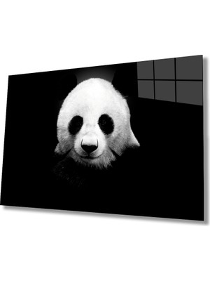 Miray Life Panda Hayvan Cam Tablo