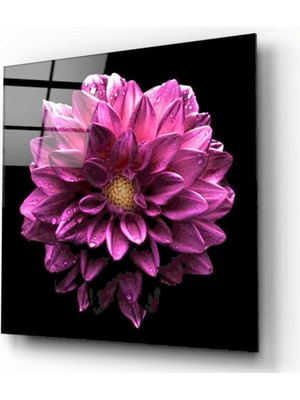 Miray Life Pembe Çiçek Cam Tablo