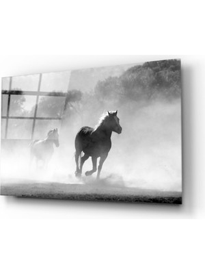 Miray Life At Cam Tablo