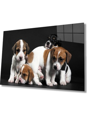 Miray Life Köpekler Cam Tablo