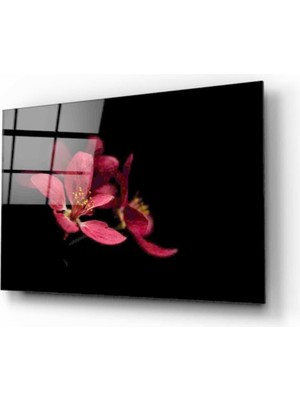 Miray Life Çiçek Cam Tablo