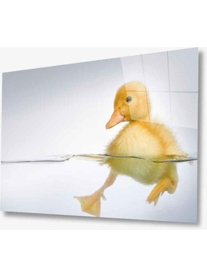 Miray Life Sarı Ördek Cam Tablo