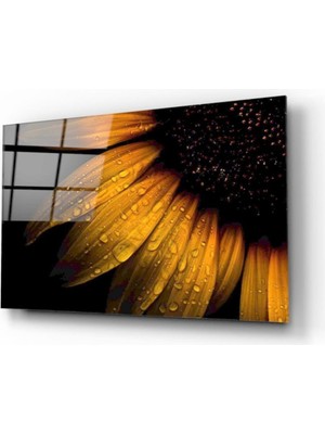 Miray Life Papatya ve Yağmur Damlası Cam Tablo