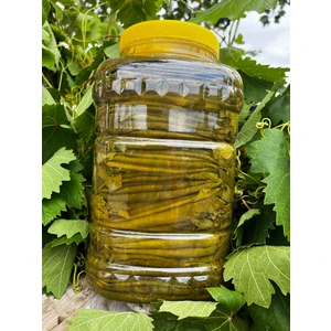 Tokat Erbaa Salamura Yaprak 5 kg