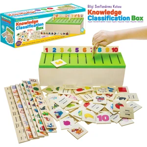 Circle Toys Ahşap Bilgi Sınıflandırma Kutusu Eğitici Mazgallı Oyuncak 88 Parça Knowledge Classification Box