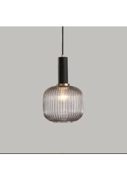 Rustik Dekoratif Metal Modern Siyah Opal Füme Camlı Camlı Tekli Avize