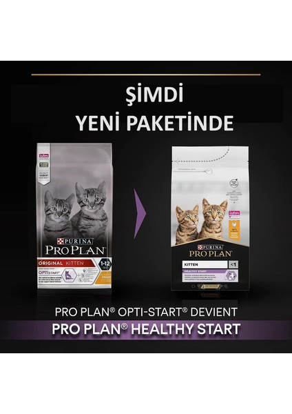 Proplan Kitten Junior Tavuklu Yavru Kedi Maması 10 kg