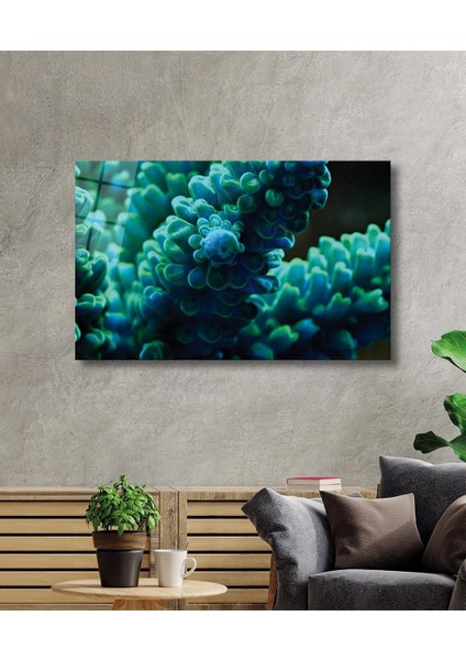 Sualtı Cam Tablo Marine Life