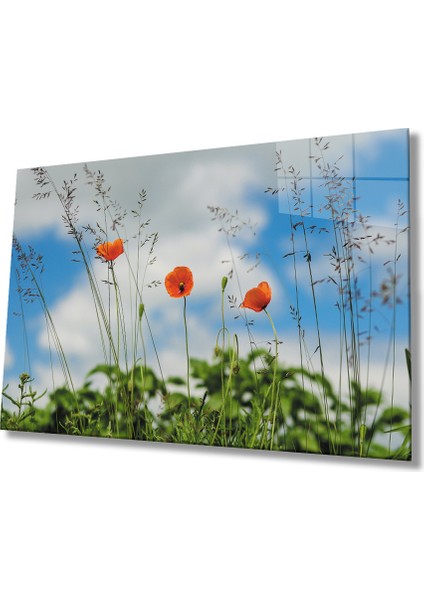 Gelincik Çiçeği Cam Tablo Poppy Flower