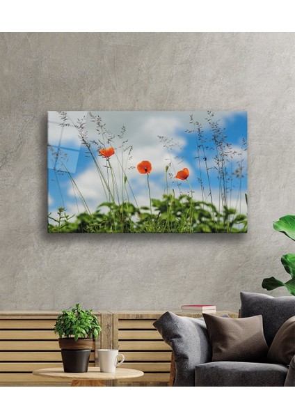 Gelincik Çiçeği Cam Tablo Poppy Flower fiyatları