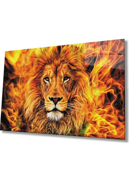 Aslan Cam Tablo