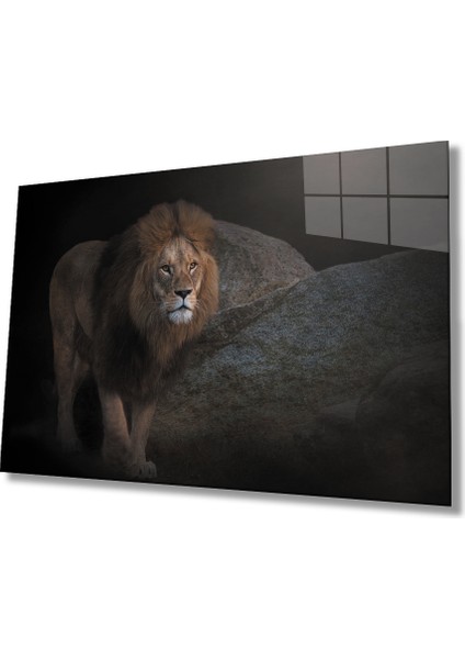 Aslan Cam Tablo