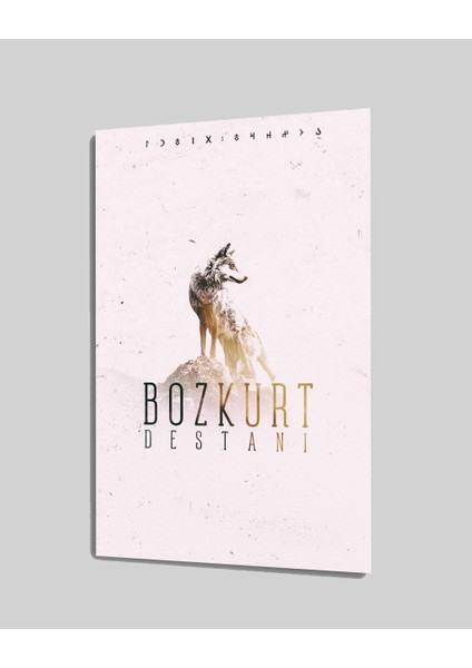 Bozkurt Cam Tablo