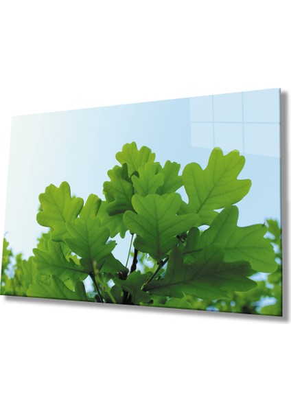 Yeşil Yapraklar Green Leaves