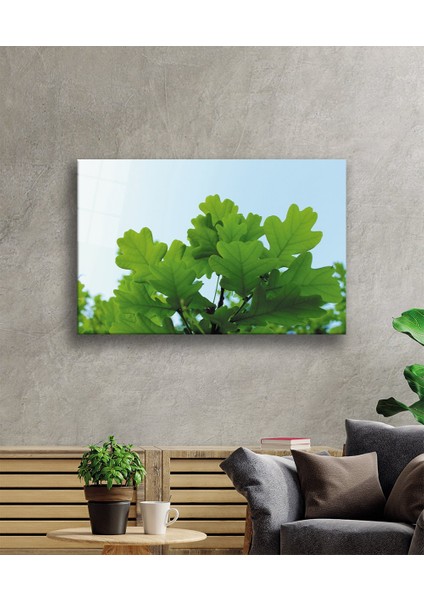 Yeşil Yapraklar Green Leaves
