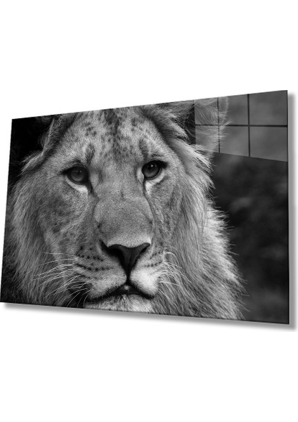 Aslan Cam Tablo
