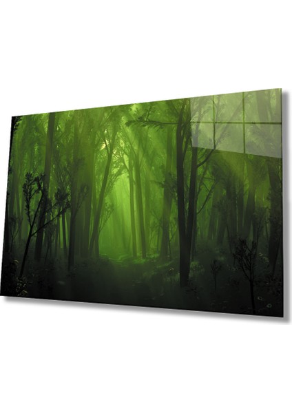 Orman Ağaç Yeşil Cam Tablo Forest Tree Green