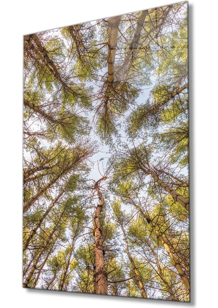 Ağaçlar Cam Tablo Trees Painting