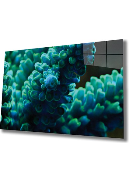 Sualtı Cam Tablo Marine Life