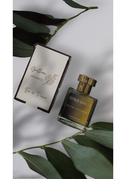 Citrus Vanille Erkek Parfüm Narenciye-Odunsu Erkek Parfüm 50 ml fiyatları