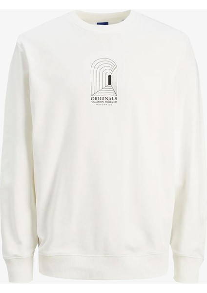 Jordestiny Sweat Crew Neck Tg Erkek Beyaz Sweatshirt 12243615-CLOUD