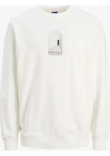 Jack & Jones Jordestiny Sweat Crew Neck Tg Erkek Beyaz Sweatshirt 12243615-CLOUD