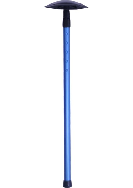 Golf Sistemi Çubuğu Golfği Direği Sert Kol Mavi (Yurt Dışından) fiyatları