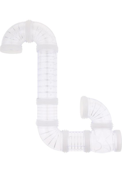 4 Küçük Gerbils Küçük Hattı (Yurt Dışından) fiyatları